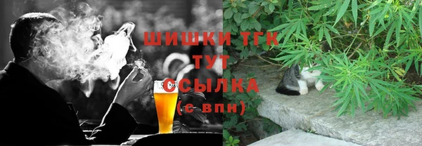 первитин Богданович