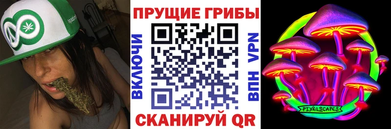 Псилоцибиновые грибы мухоморы  Корсаков 